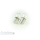 2x Philips Glühlampe Glühbirne 12V 10W Blinkleuchte Birne R10W